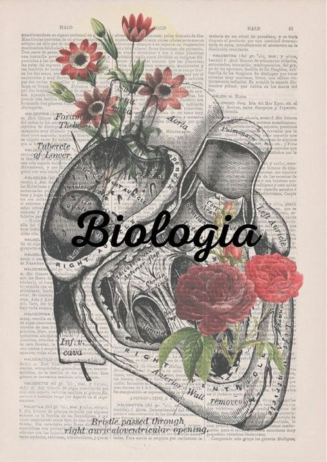 Biology Aesthetic Cover, Biology Book Cover, Doctor Quotes Medical, Project Cover Page, Iphone Wallpaper Texture, Detective Aesthetic, Cover Page Template, School Book Covers, Bond Paper Design