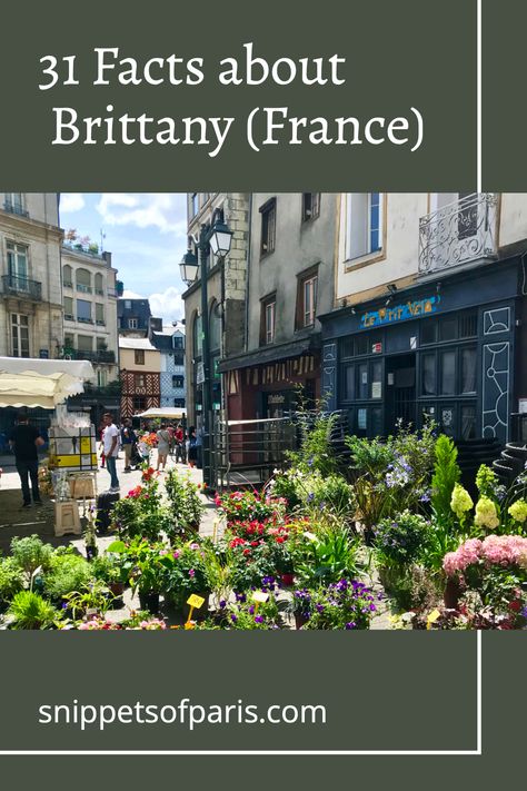 Get the facts about Brittany (Bretagne), the western-most region in France. With interesting facts, weird and quirky facts, facts for kids, and more. Facts About France, D Day Beach, Paris History, Day Trip From Paris, Little Britain, Fresh Oysters, William The Conqueror, Brittany France, Facts For Kids