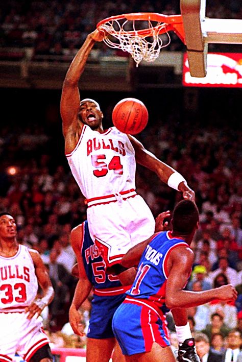 Horace Grant, Basketball Highlights, Team Pictures, Nba Legends, Basketball Legends, Wnba, Sports Stars, Slam Dunk, College Basketball