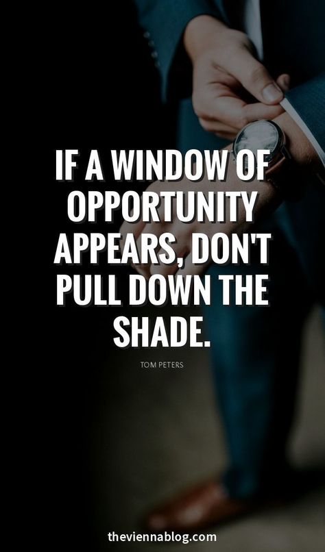 Opportunity Quotes, Deep Meaningful Quotes, 50th Quote, Business Inspiration Quotes, Business Motivational Quotes, Never Stop Dreaming, Motivational Quotes For Success, Motivational Quotes For Life, Successful People