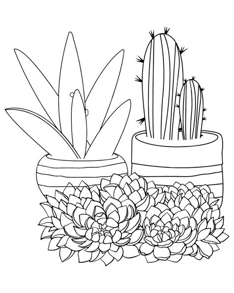 Succulent Coloring Page Succulent Coloring Page Free Printable, Succulent Coloring Page, Succulent Doodle, Coloring Page Free Printable, Anime Places, Succulent Landscaping, Succulent Bouquet, Coloring Tips, Colouring Printables