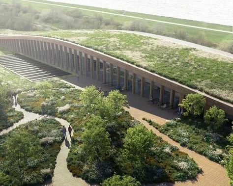 MAD architects' spiraling fenix museum in rotterdam to open in 2025 Henning Larsen, Danish Architecture, Urban Heat Island, Sustainable Environment, Organic Structure, Timber Structure, Timber Construction, Roof Garden, Scenic Routes