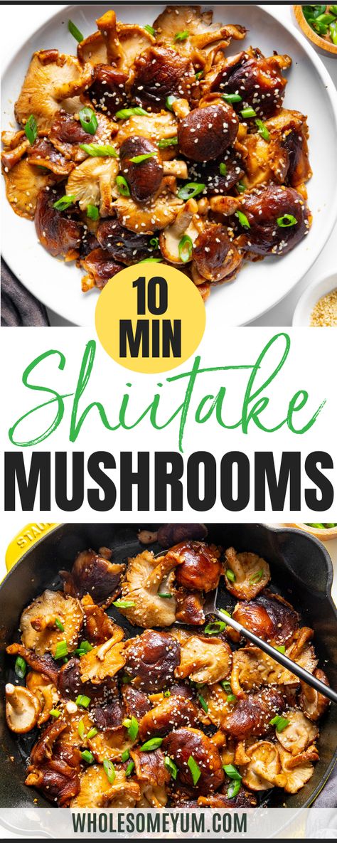 Shiitake Mushrooms Shiitake Mushroom Chicken Recipes, Asparagus And Shiitake Mushrooms, Shiitake Mushroom Stir Fry, How To Cook Shiitake Mushrooms, Chinese Stuffed Mushrooms, Snow White Mushroom Recipes, Teriyaki Mushrooms Sauteed, Hedgehog Mushroom Recipe, Exotic Mushroom Recipes