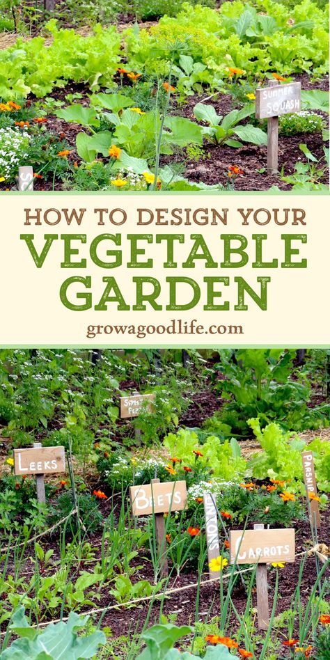 Garden Vegetable Patch, Vegetable Garden Layout Design, Veg Patch, Vegetable Garden Tips, Small Vegetable Gardens, Garden Layout Vegetable, Vegetable Garden Planning, Starting A Vegetable Garden, Garden Plots