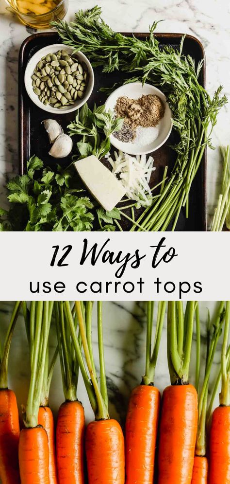 Carrot Stems Recipe, Recipes For Carrot Tops, Uses For Carrot Greens, Using Carrot Tops, Carrot Green Recipes, What Can You Use Carrot Tops For, Carrot Top Soup, Carrot Spinach Recipes, Regrow Carrots From Scraps