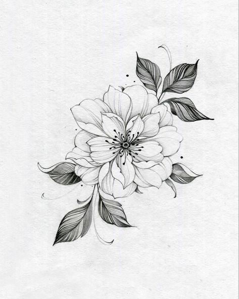 Mixed Flower Tattoo, Tattoo Flower Designs, Gardenia Tattoo, Lotusblume Tattoo, Animal Tattoo Ideas, Flower Art Drawing, Floral Tattoo Design, Tattoo Portfolio, Flower Sketches