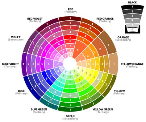 The color wheel with numbered shades Colour Wheel Theory, Split Complementary, Baby Room Colors, Make Up Inspiration, Best Eyeshadow, How To Make Brown, Colorful Eyeshadow, Complementary Colors, Color Wheel