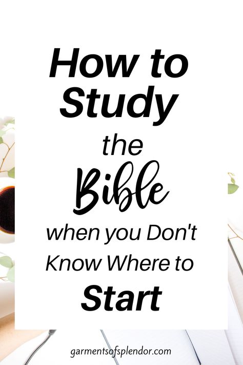 Study The Bible For Beginners, Ways To Study The Bible, Bible For Beginners, Ways To Study, Studying The Bible, Study Books, Bible Studies For Beginners, Learn The Bible, Christian Homemaking