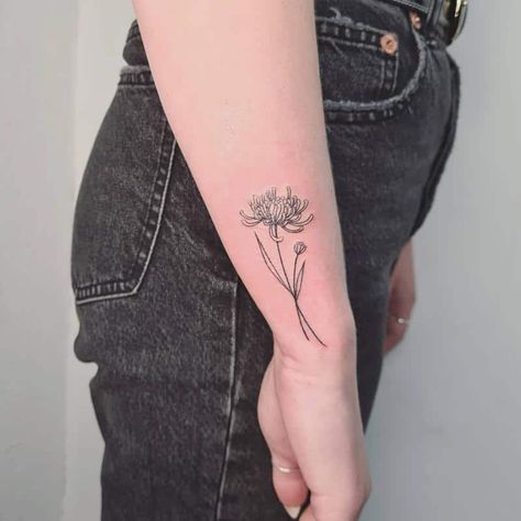 Minimal Crysanthemum Tattoo, Chrysanthemum Tattoo With Name In Stem, Mums Tattoo Flower Chrysanthemums, Chrysanthemum Tattoo Linework, White Chrysanthemum Tattoo, Chrysanthemum And Morning Glory Tattoo, Aster And Chrysanthemum Tattoo, Christhamum Tattoo, Simple Chrysanthemum Tattoo Outline