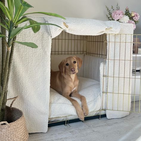 Cozy and Chic 😻   #📸 @moosethegoldenlab_   🔗 Dog Cage Set In Ivory Bouclé By Lords & Labradors Dog In Apartment Aesthetic, Aesthetic Dog Crate Ideas, Dog Room Set Up, Aesthetic Dog Set Up, Dog Room Aesthetic, Dog Cage Aesthetic, Dog Crate Set Up, Dog Crate Aesthetic, Puppy Set Up Ideas In Bedroom