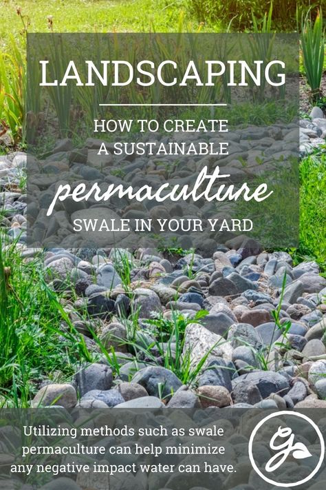 Swale Landscaping Ideas, Swale Landscaping, Garden Potager, Rural Garden, Dry River, Types Of Grass, Water Movement, Home Landscape, River Bed