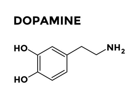 Dopamine Drawing, Dopamine Tattoo Ideas, Dopamine Embroidery, Dopamine Illustration, Dopamine Molecule Tattoo, Dopamine Molecule Art, Dopamine Chemical Structure, Logan Tattoo, Dopamine Tattoo