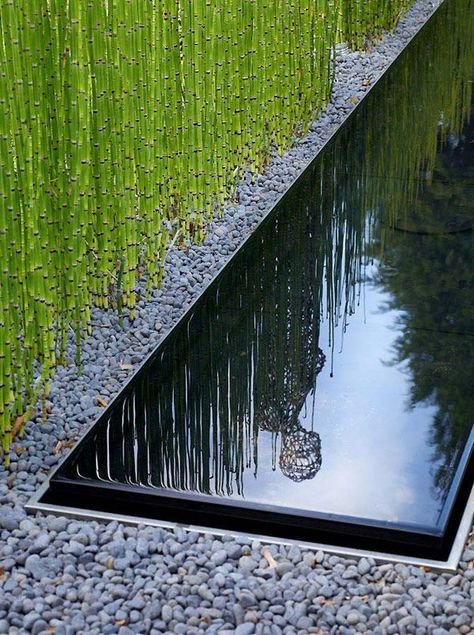 Suffolk contemporary courtyard garden sue townsend- beautiful water feature- small fountains to keep water circulating and mask noise from m11. Description from pinterest.com. I searched for this on bing.com/images Gardening Pictures, Tanaman Air, Kolam Koi, Taman Air, Landscape Gardening, Desain Lanskap, Modern Landscape Design, Reflecting Pool, Water Features In The Garden