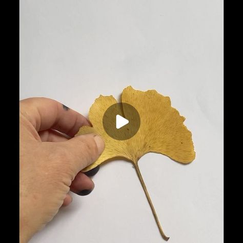 Ginkgo Leaf Cards, Ginko Leaf Crafts, Gingko Leaves Art, Ginkgo Leaf Art, Gingko Leaf Art, Ginko Leaf Design, Mono Printing Ideas, Painting On Brown Paper, Geli Print