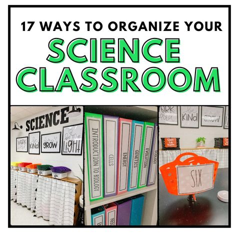 17 Ways to Organize Your Science Classroom ⋆ The Trendy Science Teacher Science Classroom Ideas Elementary, 7th Grade Science Classroom Decorations, Science Classroom Decorations Highschool, Middle School Science Classroom Decor, High School Biology Classroom, Life Science Classroom, High School Science Classroom, Science Display, Elementary Science Classroom