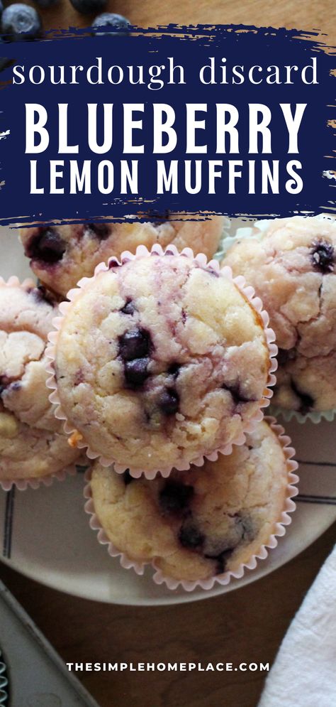 Sourdough Discard Blueberry Lemon Muffins Recipe - The Simple Homeplace Sourdough Discard Blueberry, Blueberry Lemon Muffins, Lemon Muffin Recipes, Sourdough Muffins, Sourdough Starter Discard Recipe, Gluten Free Sourdough, Pumpkin Spice Muffins, Lemon Blueberry Muffins, Lemon Muffins