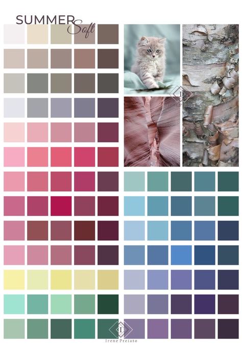 Cool And Muted Color Palettes, Summer Muted Cool Color Palette, Soft Cool Color Palette, True Summer Palette Colors, Neutral Pink Outfit, Summer Pallet Color Analysis, Dark Soft Summer Color Palette, Soft Summer Fall Colors, Personal Colour Palette