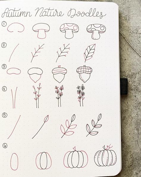 Nature Doodles, Autumn Doodles, Whiteboard Art, Doodle Art For Beginners, Fall Drawings, Doodle Art Flowers, Cute Easy Doodles, Flower Drawing Tutorials, Bullet Journal Paper