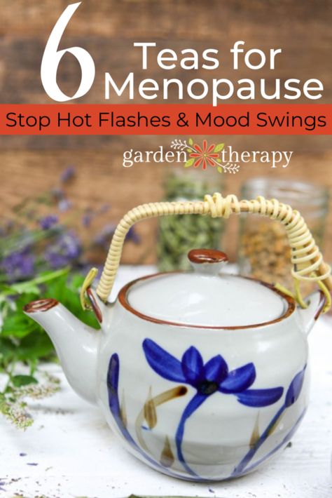 Menopause comes with all sorts of (not-so) fun symptoms. Here are some of the best herbal teas for menopause to help ease your symptoms. #tea #herbgarden #herbs #menopause #women #herbaltea #herbalremedies #gardentherapy Herbs For Tea, Tea Blends Recipes, Herbal Tea Garden, Sage Tea, Best Herbal Tea, Harvesting Herbs, Herbal Teas Recipes, Herbal Recipes, Herbal Tea Blends