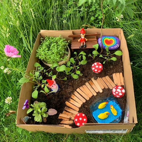 My Sons entry for the One seed forward shoebox garden competition. Fairy Garden Box, Shoe Box Crafts, Garden Crafts For Kids, Fairy Garden Birthday Party, Vegetable Boxes, Garden Activities, Recycled Art Projects, Garden Workshops, Sensory Garden