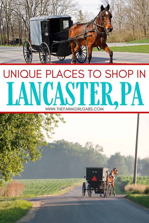 Lancaster Pa Things To Do In, Lancaster Pennsylvania Restaurants, Amish Country Pa, Amish Town, Amish Country Pennsylvania, Lancaster County Pennsylvania, Hiking Places, Pennsylvania Travel, Lancaster County Pa