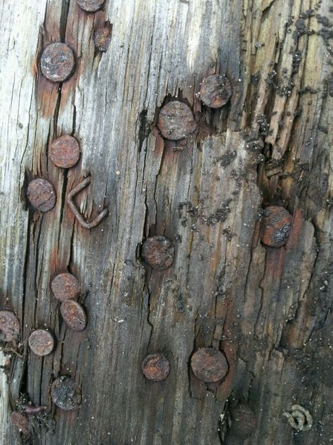 Rusty nails on old pallet Old Rusty Things, Fence Reference, Spiked Bat, Banana Poster, Footed Tray, Rusty Nails, Rust Never Sleeps, Old Wood Texture, Types Of Texture