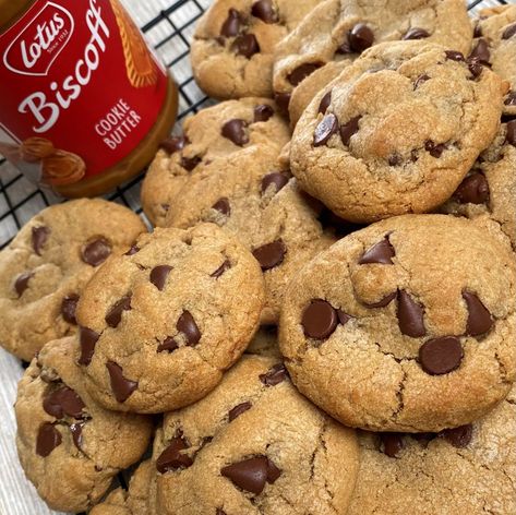 Biscoff Chocolate Chip Cookies | Cooking Mamas Biscoff Chocolate, Biscoff Cookie Butter, Biscoff Cookies, Cookie Butter, Chocolate Chip Cookie Recipe, Chip Cookie Recipe, Baking Sheets, Chocolate Chip Cookie, Tried And True