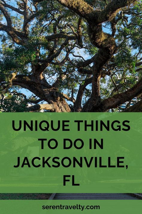 Welcome to Jacksonville, Florida, (Duuuuval, as the natives would say), where adventure, culture, and relaxation come together! In this guide, we will explore the best free things this vibrant city has to offer. Jacksonville, known as the “River City,” is situated along Florida’s northeast coast and boasts a rich history, stunning natural beauty, and a thriving arts scene. Things To Do Near Jacksonville Florida, Things To Do In Jacksonville Florida, Florida Jacksonville, Florida Vacation Spots, Famous Trees, Florida Christmas, River City, Jacksonville Beach, Atlantic Beach