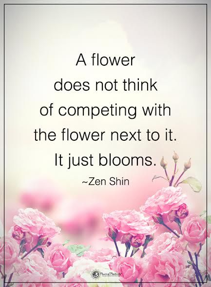 A flower does not think of competing with the flower next to it. - Zen Shin #powerofpositivity #positivewords #positivethinking #inspirationalquote #motivationalquotes #quotes #life #love #lessonsinlife #competiotion #competing #flower #blooms #zenshin Flower Quotes Inspirational, Quotes Flower, Brilliant Quotes, Bloom Quotes, Compare Quotes, Floral Quotes, Brilliant Quote, Zen Quotes, Garden Quotes