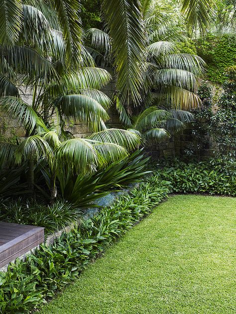 Lawn with modern tropical planting style | by William Dangar & Associates Garden Concept, Tropical Landscape Design, Simple Backyard, Small Backyards, Tropical Garden Design, Front Garden Landscape, Tropical Backyard, Gardens Ideas, Landscape Images