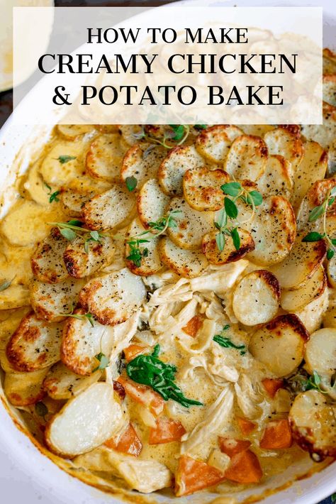 This Creamy Chicken and Potato Bake with extra veggies is a whole meal in one dish! Kind of like a creamy chicken, carrot and spinach casserole, topped with potato gratin! #potatogratin #onepotmeal #creamychicken #chickencasserole Chicken Potato Veggie Bake, Creamy Chicken Potato Bake, Chicken Potato Carrot Recipe, Chicken Potato Carrot, Chicken And Potato Recipes, Chicken Potatoes Carrots, Creamy Chicken Dinner, Chicken And Vegetable Casserole, Chicken Potato Casserole