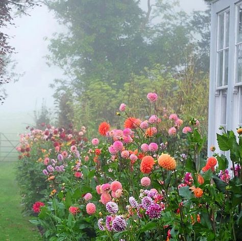 Front Flower Beds, Flower Bed Designs, Gardening Landscaping, Foggy Day, Gardening Design, Landscaping Garden, Garden Idea, Party Garden, Have Inspiration