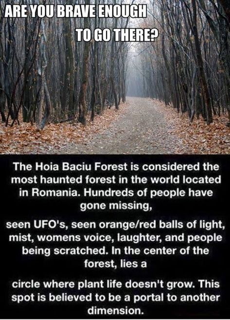 19 Creepy Facts That'll Give You a Fright - Creepy Gallery Scary Myths, Horror Memorabilia, Hoia Baciu Forest, Strange Names, Paranormal Facts, Wierd Facts, Scary Facts, Strange Facts, Scary Things