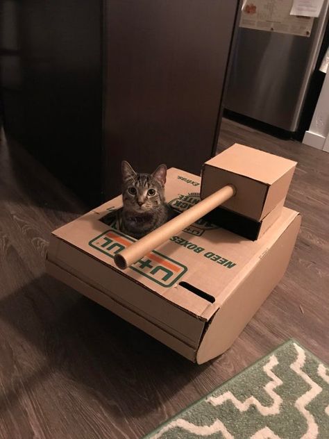 DIY: Fun and Easy Way to Build a Cardboard Cat House - Moving Insider Cat House Diy Cardboard, Cardboard Cat House, Hilarious Animals, Cat Castle, Cat House Diy, Diy Cat Toys, Cat Tanks, Funny Pigs, Animals Pictures