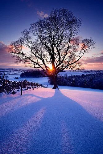 eeecffdeabb Winter Sunrise, Winter Sunset, Winter Photos, Winter Love, Winter Scenery, Winter Beauty, Winter Trees, Winter Scenes, The Snow