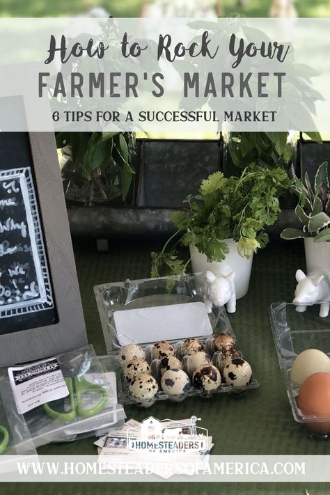 How to ROCK Your Farmer's Market: 6 Tips for a Successful Farmer's Market Selling Eggs At Farmers Market, Egg Display Farmers Market, Farmers Market Banner Ideas, Starting A Farmers Market, Farmers Market Egg Display, Produce Displays Market Stands, Farmers Market Tips, Farmers Market Meat Display, Items To Sell At Farmers Market