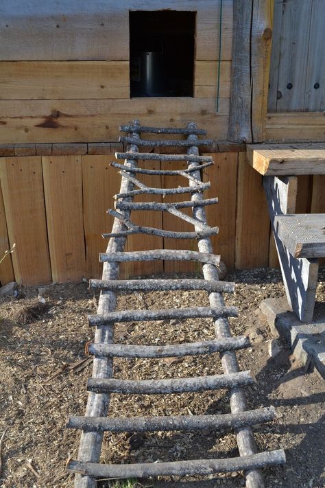 Tree Ladder, Easy Chicken Coop, Chicken Barn, Portable Chicken Coop, Chicken Pen, Coop Ideas, Coop Design, Chicken Coop Designs, Coop Plans