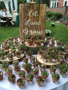 Succulent Guest Favors, Succulent Party Theme Centerpieces, Wedding Favor Succulent, Mini Succulents Favors, Succulent Gift Ideas Wedding Favors, Plant Wedding Centerpieces Potted, Plant Pot Wedding Favour, Mini Succulent Wedding Favors, Succulent Engagement Party