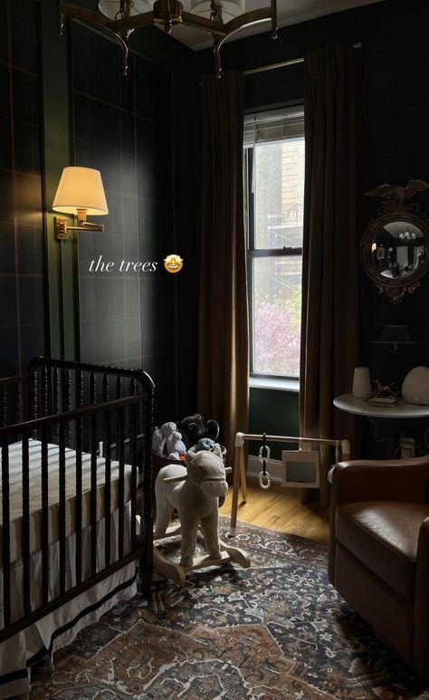 Dark Dramatic Nursery, Dark Aesthetic Nursery, Black French Decor, Old Money Aesthetic Nursery, Dark Nursery Aesthetic, Dark Colored Nursery, Moody Baby Boy Nursery, Victorian Nursery Ideas, Dark Academia Kids Room