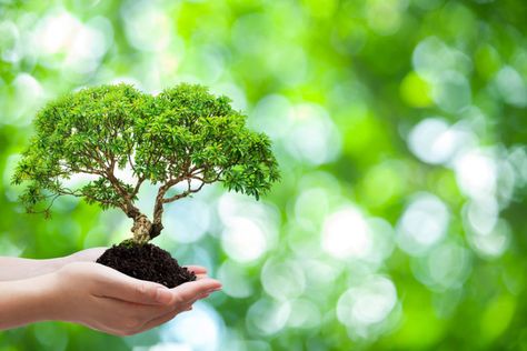 The Importance of Ethical Practice in a Master’s Degree in Environmental Science Environmental Science Projects, Environmental Science Activities, High School Earth Science, Environmental Science Major, Environmental Ethics, Science Background, Science Quotes, Material Science, Environmental Sustainability