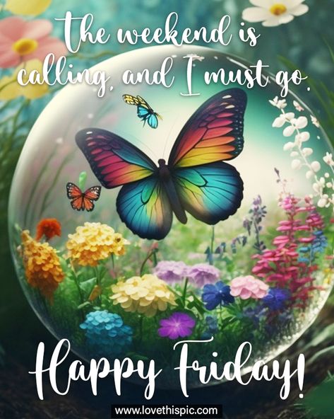 The weekend is calling, and I must go. Happy Friday! Happy Friday And Weekend Images, Friday Quotes For Him, Happy Friday Gif Images, Happy Friday Gifs, Happy Friday Happy Weekend, Happy Friday And Weekend, Friday Sayings, Happy Friday Weekend, Friday Morning Greetings