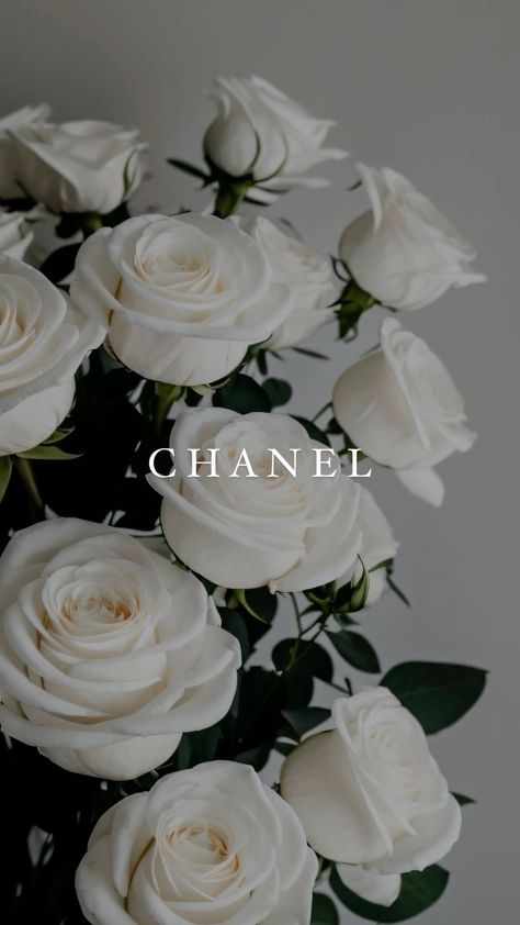 Coco Chanel Wallpaper, Chanel Wallpaper, Louis Vuitton Iphone Wallpaper, Photo Collage Wall, Baby Blue Wallpaper, Gold Wallpaper Background, Iphone Wallpaper Stills, Good Morning Gorgeous, Fashion Poster Design