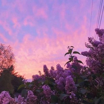 Purple Sunset, Pretty Landscapes, Purple Sky, Pretty Sky, Aesthetic Images, Beautiful Mountains, Purple Aesthetic, Nature Aesthetic, Sky Aesthetic