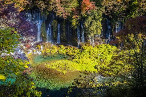 Fuji Hakone Izu National Park, Japan National Park, Art Museums, Hakone, Mount Fuji, Izu, The Marine, Asia Travel, Plant Life