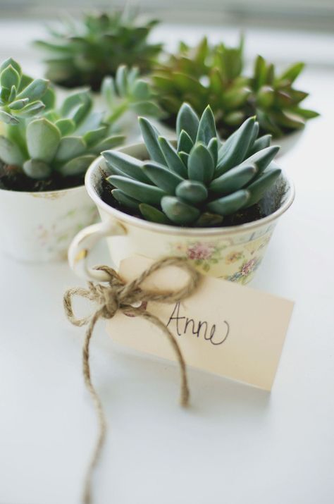 Inspired by Spring: Easy DIY Tea Cup Planter Party Favors » Curbly | DIY Design Community Creative Bridal Shower Ideas, Tea Cup Planter, Bridal Shower Favors Diy, نباتات منزلية, Tafel Decor, Spring Bridal Shower, Vintage Bridal Shower, Diy Party Favors, Tea Diy