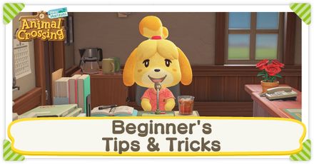 This is a list of Tips and Tricks for beginners in Animal Crossing: New Horizons (ACNH) for the Nintendo Switch. Learn the best ways you can improve island life and work your way to building up your dream island with our collection of simple but efficient guides below! Animal Crossing Beginner, June Bug, Snorkels, All Fish, Clean Slate, Wedding Candles, Island Life, Wedding Season, Animal Crossing