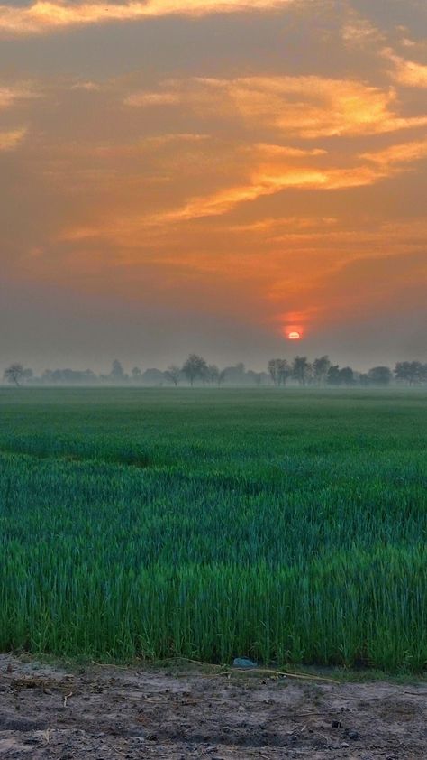 Village natural images Natural Village Pic, Sun Rise Images, Village Photography Nature, Natural Views, Facebook Bio, Nature Photography Quotes, Profile Dark, Sunshine Village, Morning Photography