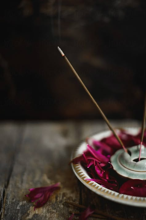 Stock photo of incense twig burning inside porcelain holder. The antique burner stands amongst many peony petals collected inside china bowl. Aesthetic Incense, Incense Aesthetic, Incense Photography, Burning Inside, Peony Petals, Incense Burning, Candles Photography, China Bowl, Burning Incense