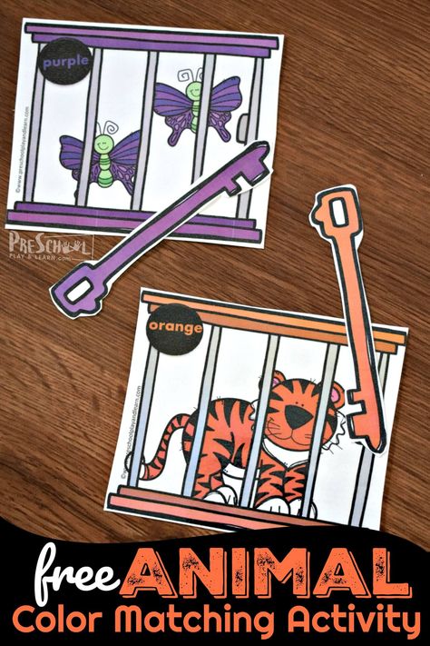 FREE Animal Color Matching Activity is such a cute math activity for preschoolers to go along with a zoo theme. Goodnight Gorilla Activities, Jungle Preschool, Zoo Animals Preschool Activities, Zoo Activities Preschool, Turtle Classroom, Goodnight Gorilla, Zoo Animals Preschool, Zoo Lessons, Preschool Zoo Theme