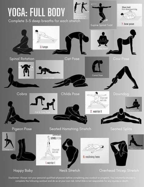 Yoga Poses For Beginners Men, Mens Stretching Routine, Yoga For Flat Tummy, Dynamic Stretching Exercises, Angel Workout, Mobility Training, Flexibility Exercises, Workout Labs, Yoga Blog